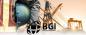 BGI Energy Services Limited logo